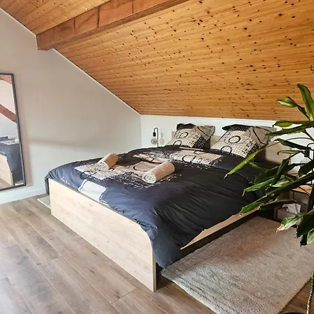 Appartement 62 M2 Neuf Au Calme Climatise Avec Parking & Proche Colmar Et Mulhouse شقة إنسيشايم